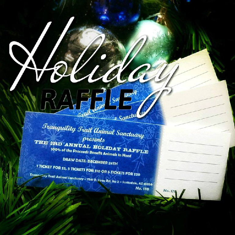 HolidayRaffle