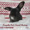2022 Bunny Rabbit Wall Calendar - Image 2